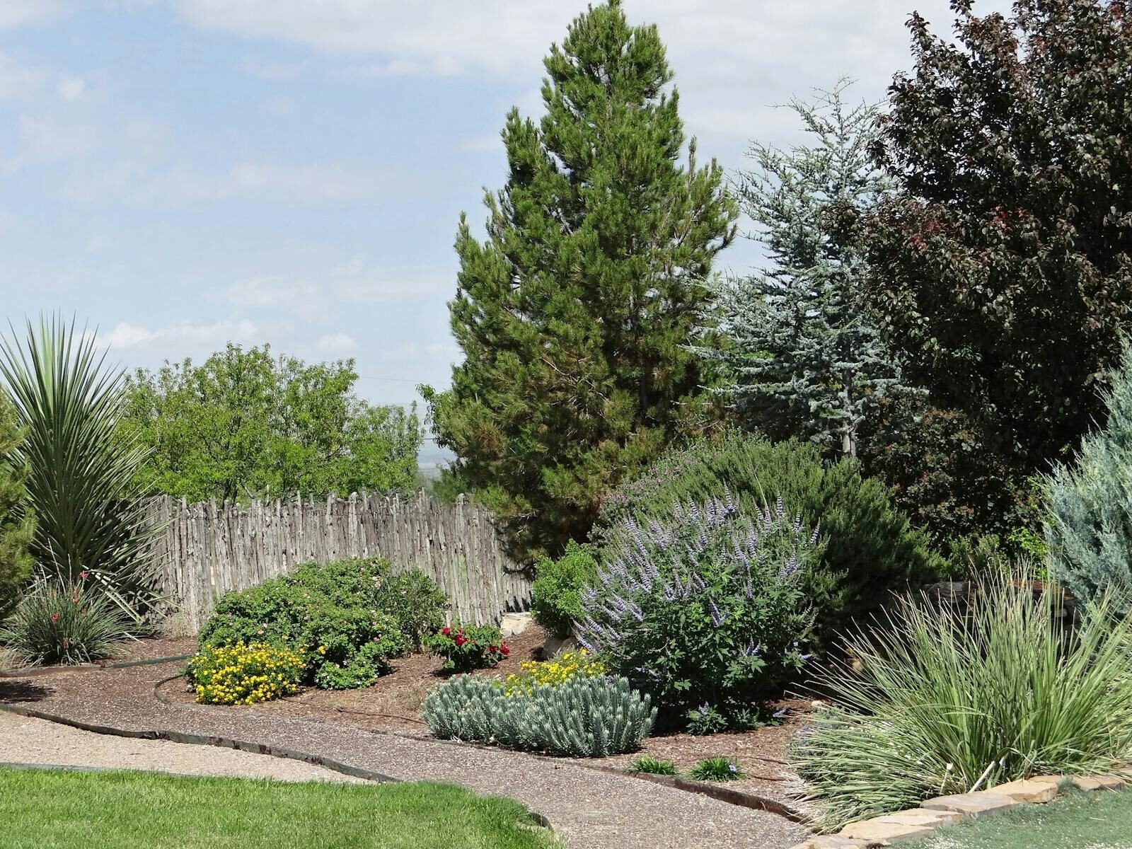 Tranquil garden scene with diverse plants and trees in Marathon, Texas under a clear sky.