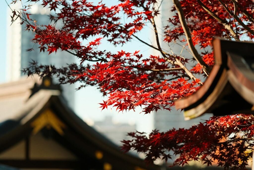 Vibrant red maple leaves by a traditional Japanese roof under clear skies, capturing autumn's essence.