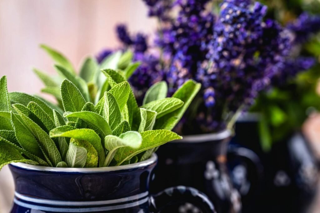 Vibrant close-up of fresh sage and lavender in decorative ceramic vases.