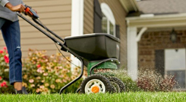 lawn care weed killer turf builder