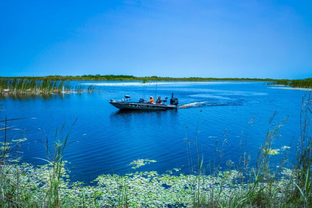  Best U.S. Lakes for Fishing; Peaceful boat ride on a lake surrounded by reeds and clear blue sky.