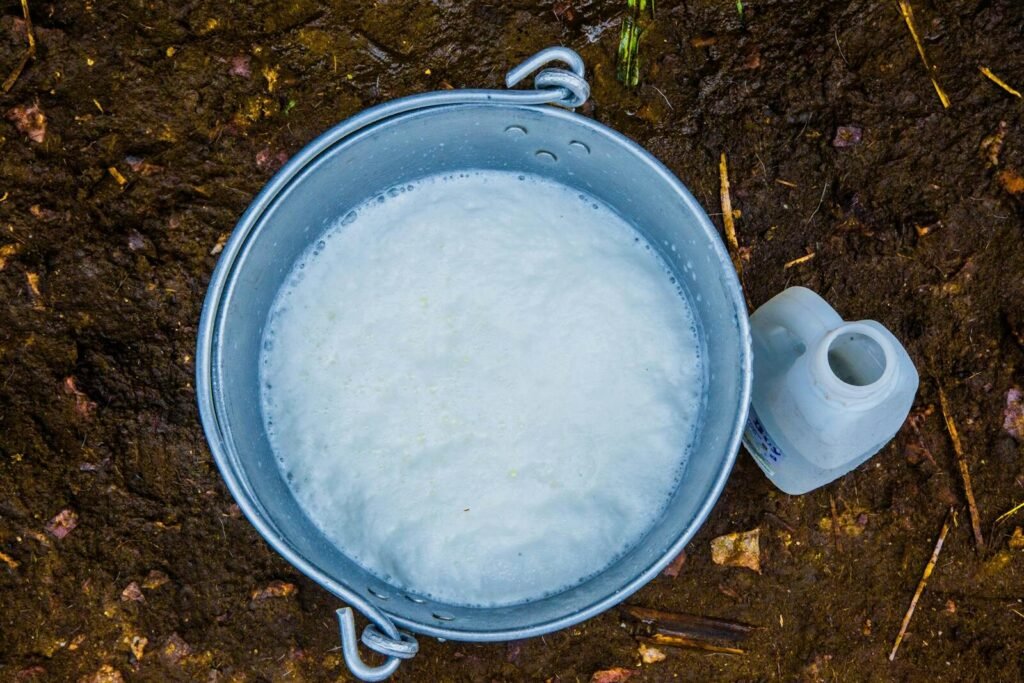 Overhead view of a metal bucket filled with sudsy water on muddy ground, next to an empty container.