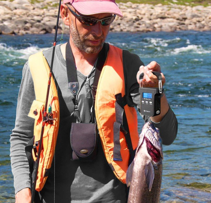 Etekcity Digital Fishing Scale