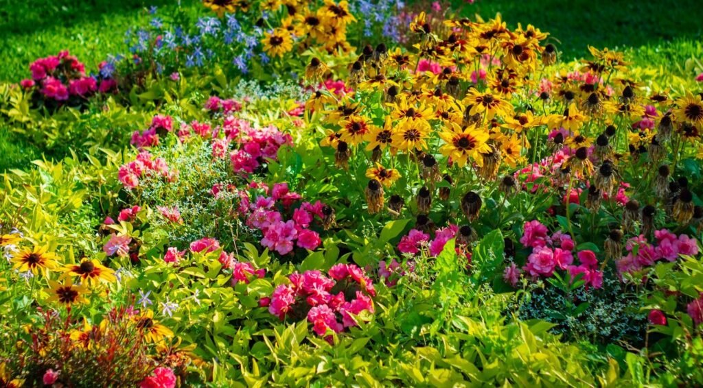 Perennials That Thrive in Texas Heat; A colorful arrangement of summer flowers in full bloom, showcasing vibrant yellows and pinks.
