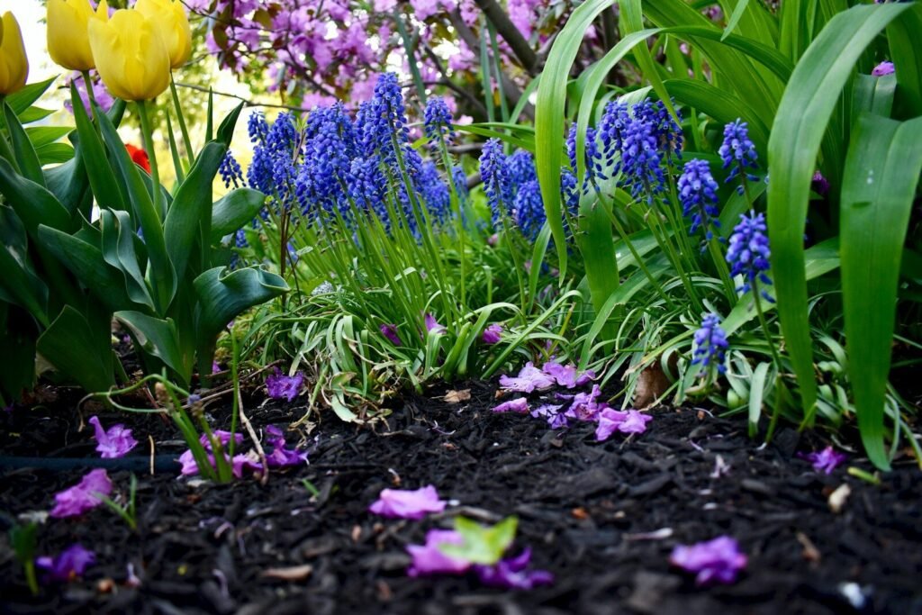 Explore Low-Maintenance Gardening with Perennial Flowerbeds 4 a garden filled with lots of purple and yellow flowers; Low-Maintenance Gardening