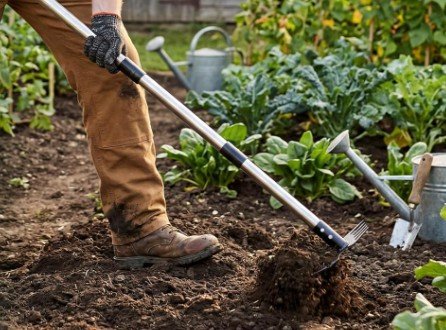 Keep Weeds Out of Gravel; weed puller